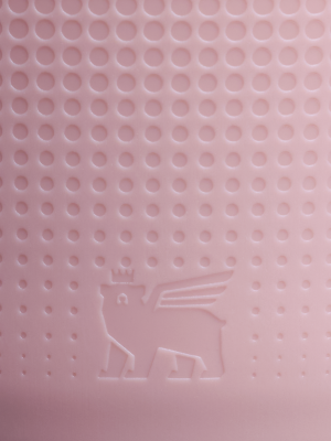 Stanley Quencher Boot and Straw Cover Set